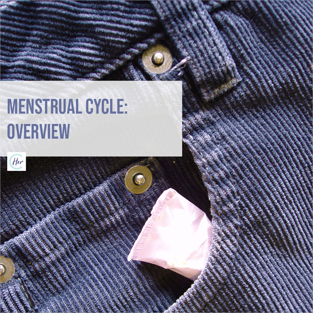 HerConcussion Menstrual Cycle Overview
