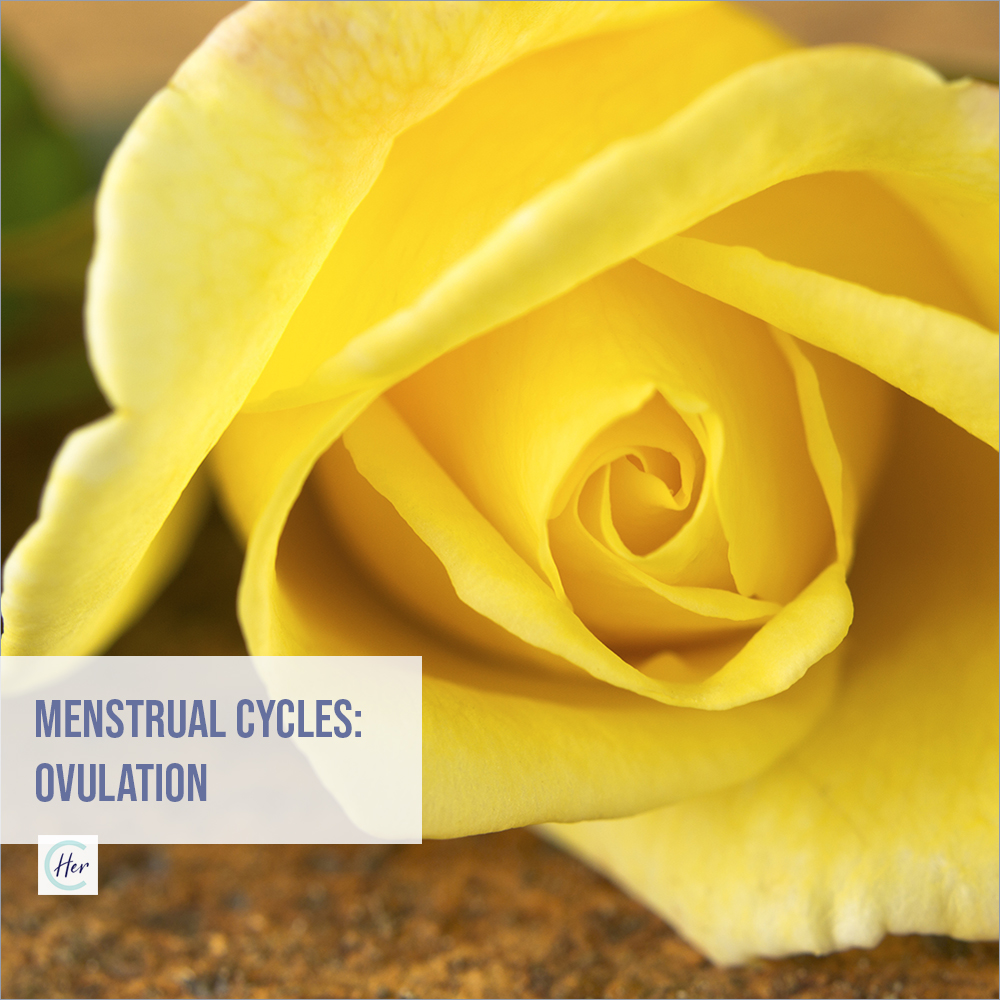 HerConcussion M Cycles Ovulation