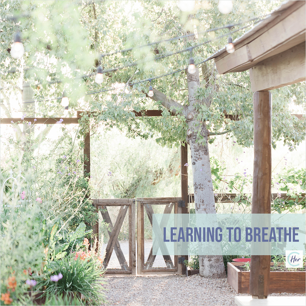 HerConcussion Learning to Breathe